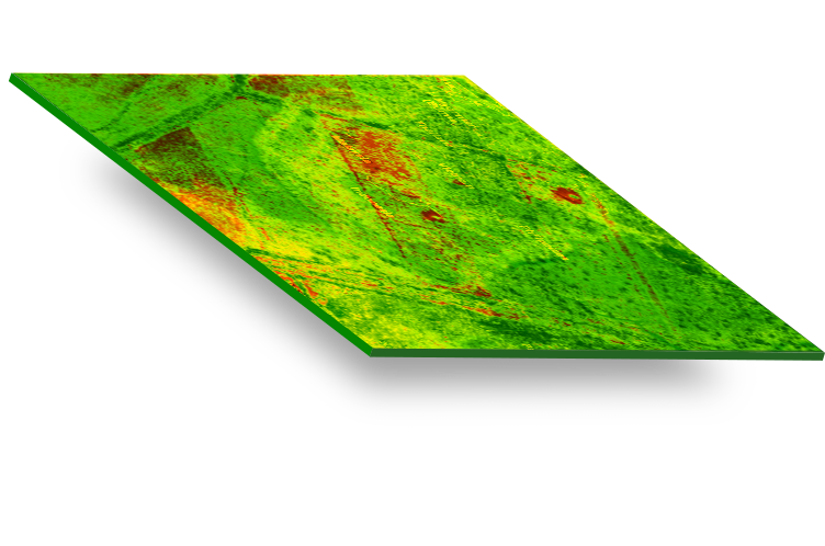 NDVI
